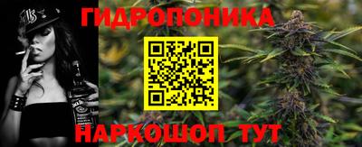 прущие крисы Нальчик