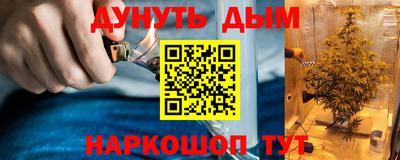 прущие крисы Нальчик