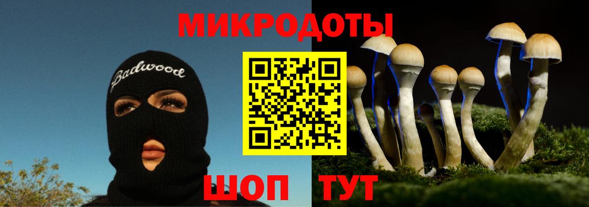 Псилоцибиновые грибы MAGIC MUSHROOMS  Вход с VPN  Галлюциногенные грибы Psilocybe  Бугуруслан 